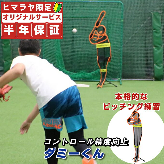 ミズノ フットガード パッド型(右足/左打者用)(野球/ソフトボール)高校野球ルール対応モデル 1DJLG03409