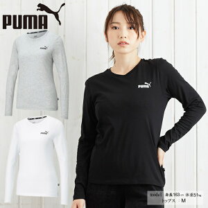 ס T Ĺµ ǥ ESS ĹµT 588928 PUMA