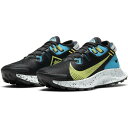 ナイキ トレイルランニングシューズ レディース ペガサス トレイル 2 CK4309-003 NIKE