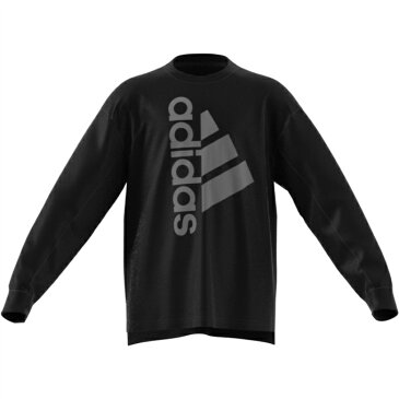 アディダス Tシャツ 長袖 ジュニア トレーニングエッセンシャルズ バッジ オブ スポーツ 長袖Tシャツ GP0793 53482 adidas
