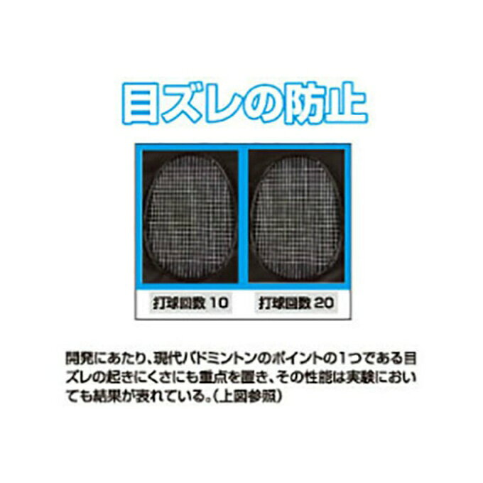 ヒマラヤ楽天市場店のトアルソン TOALSON バドミントンガット イオン65 841650R｜アングル3