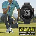 GARMIN アプローチ S12