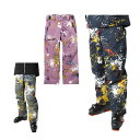 【全品対象最大10%OFFクーポン!7/13 10:00〜7/15 23:59】ミズノ スキーウェア パンツ メンズ SKI PT Z2MF1340 P LTD...