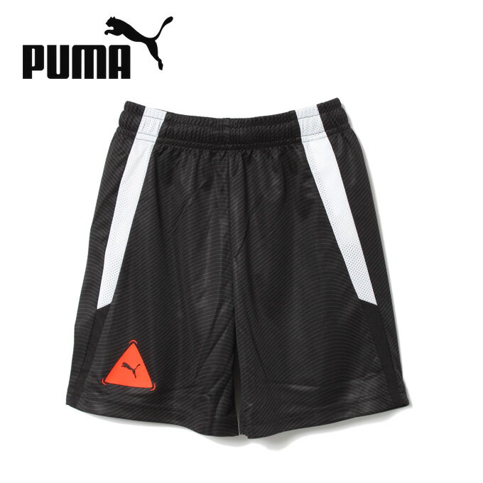 プーマ サッカーウェア ハーフパンツ ジュニア FSBL PARK ショーツ 657802 PUMAのサムネイル