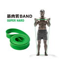 エルガム トレーニングチューブ トレーニングバンド スーパーハード 54166 エクササイズバンド ストレッチ ゴムバンド 筋トレ ゴムチューブ(4)