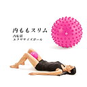 エルガム エクササイズ用ポール 内ももスリム 54173 直径20cm 筋トレグッズ内もも ヒップ  ...
