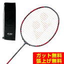 lbNX oh~gPbg A[NZCo[11PRO ARC11-P-764 YONEX