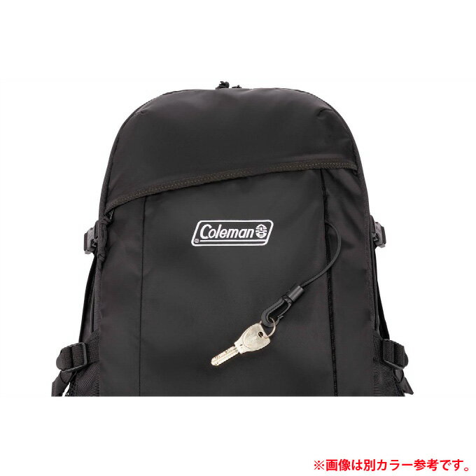 コールマン リュックサック 33L メンズ レディース ウォーカー33 ブラックヘザー 2000038971 Coleman 日帰り登山 バックパック バッグ 大容量 3