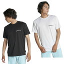 NCbNVo[ QUIKSILVER bVK[h  Y RESIN TINT SS QLY221005