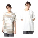 ビジョンピークス VISIONPEAKS Tシャツ 半袖 レディース キャンプ ポケット VP171146L26