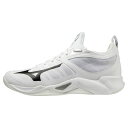 ◆◆ ＜ミズノ＞ MIZUNO DSISソルボバレーボールインソール（2Lサイズ）（1ペア入） 9ZA761 (パープル)