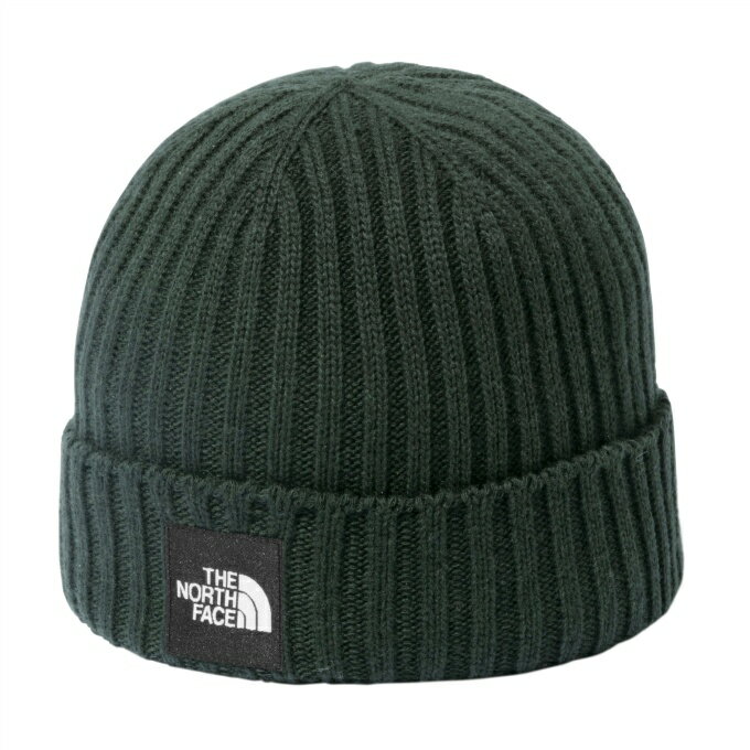 ノースフェイス ニット帽 メンズ レディース カプッチョリッド Cappucho Lid NN42035 PG THE NORTH FACE