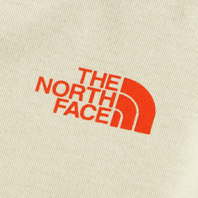 ノースフェイス Tシャツ 長袖 ジュニア ロングスリーブフィールドグラフィックロゴティー L/S Field Graphic Logo Tee NTJ82223 SS THE NORTH FACE