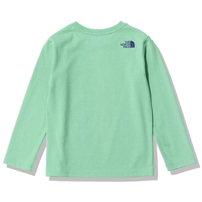 ノースフェイス Tシャツ 長袖 ジュニア ロングスリーブフィールドグラフィックロゴティー L/S Field Graphic Logo Tee NTJ82223 WS THE NORTH FACE