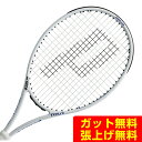 プリンス PRINCE 硬式テニスラケット ツアー100SL TOUR 100 SL 7TJ176