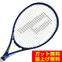 プリンス PRINCE 硬式テニスラケット エックス100 右利き用 X 100 7TJ180