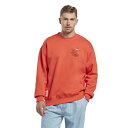 リーボック Reebok スウェットトレーナー メンズ レディース ルーニー テューンズ クルー スウェットシャツ Looney Tunes Crew Sweatshirt HG1516