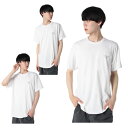 オフショア OFFSHORE Tシャツ 半袖 メンズ DSTGRADATION LOGOTEE OS23-2DS-006