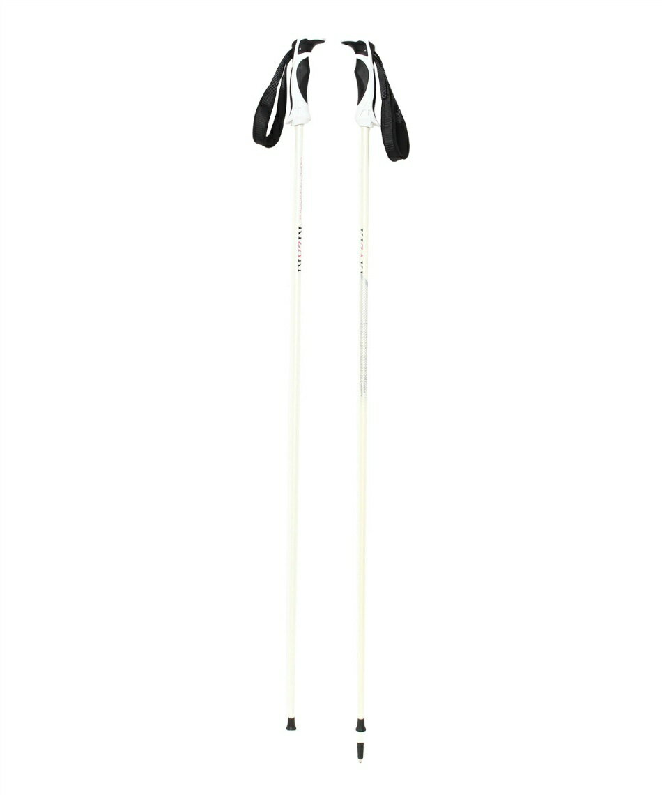 楽天市場】カーボン ストック 120cm スキーの通販