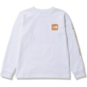 ザ・ノース・フェイス Tシャツ 長袖 レディース ロングスリーブスリーブグラフィックティー L/S Sleeve Graphic Tee NTW32344 W THE NORTH FACE ノースフェイス