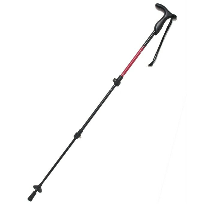 【全品対象最大10％OFF！11/20 20:00〜11/27 1:59】ビジョンピークス VISIONPEAKS トレッキング ステッ..