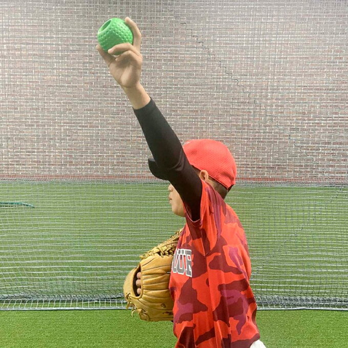 �ե�����ɥե����� FIELDFORCE ��� �ȥ졼�˥󥰥ܡ��� �Хå����ԥ��꡼���ܡ��� FBRB-1