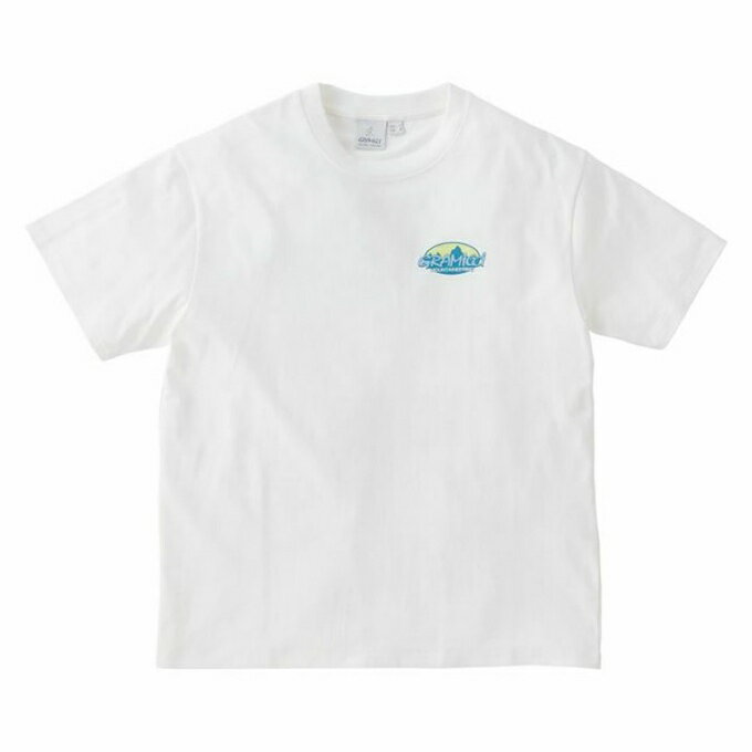 グラミチ アウトドアウェア メンズ グラミチ 半袖シャツ メンズ サミットTシャツ SUMMIT TEE G3SU-T044 WHITE Gramicci