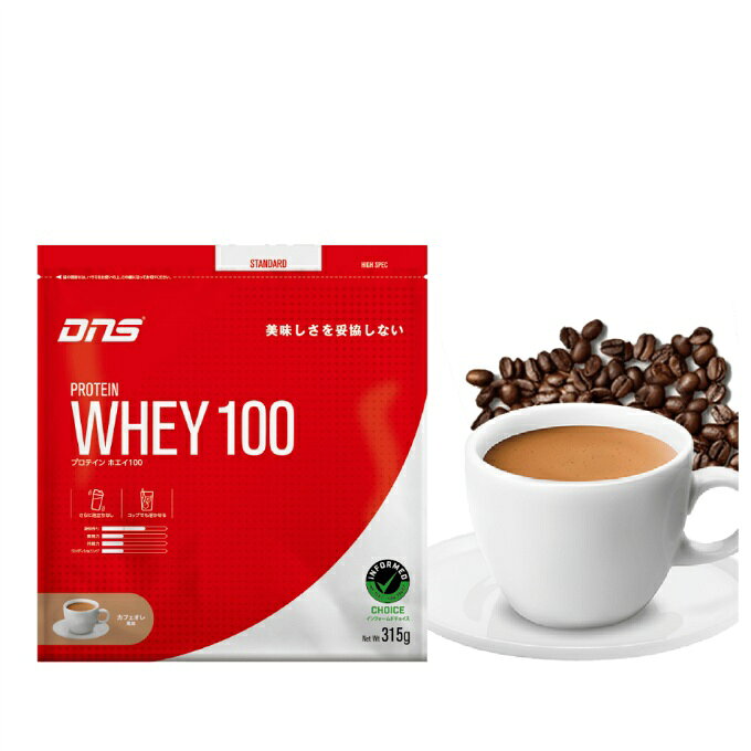 �ǥ������̥���(DNS) �ץ��ƥ��� �ץ��ƥ���ۥ���100 ���ե�������̣ 315g D23001110604