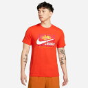 ナイキ Tシャツ 半袖 メンズ DF WILDCARD 花 機能Tシャツ FD0143-891 NIKE