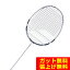 Хܥ Babolat Хɥߥȥ饱å ƥ饤6.5LTD 饤 602406