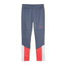 【全品対象最大10%OFFクーポン!7/13 10:00〜7/15 23:59】プーマ サッカーウェア ピステパンツ ジュニア IN CUP トレーニングパンツ...