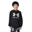 【全品対象最大10%OFF!2025年8月4日20:00~8月11日1:59】 アンダーアーマー スウェットトレーナー ジュニア UAテック テリー ロゴ クルー 1381171-001 UNDER ARMOUR
