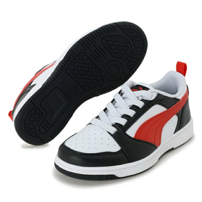 ס ˥ˡ Х V6  PS 396742 04 PUMA