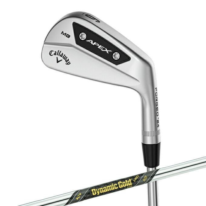 キャロウェイ ゴルフクラブ アイアンセット 6本組 メンズ シャフト Dynamic Gold MID115 APEX MB 2024 6I Callaway