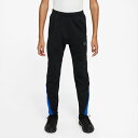 ナイキ サッカーウェア ジャージパンツ ジュニア キッズ HO TF ACロングパンツJ WW FJ6182-011 NIKE