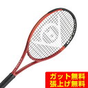 _bv DUNLOP dejXPbg CX200 TOUR DS22401