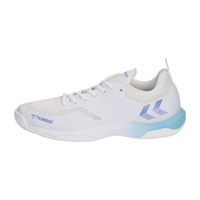 ヒュンメル hummel ハンドボールシューズ メンズ レジェンドフライ6.0 HAS8042 1067