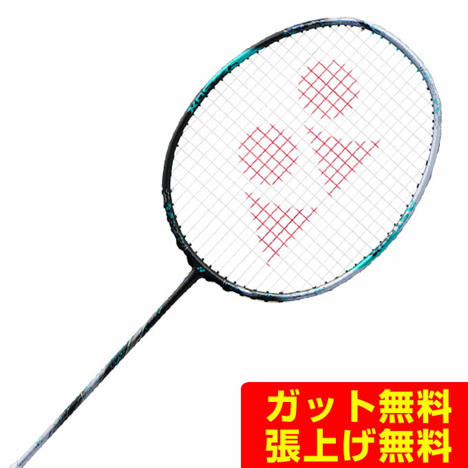 ヨネックス バドミントンラケット メンズ レディース アストロクス88Dプロ 3AX88D-P-076 YONEX