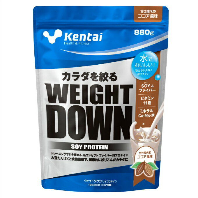 健康体力研究所Kentaiプロテイ...