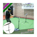 【6/30(月)0:00~7/1(火)23:59限定対象商品2000円クーポン発行中】フィールドフォース FIELDFORCE 野球 トレーニング用品 タイミングマスター FTIM-100SP 【メーカー取り寄せ】【ご自宅配送限定】
