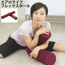 エアロライフ 健康器具 フレックスポール DR-2600 AEROLI...(4)