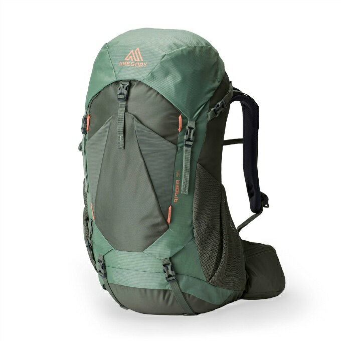 【全品対象最大10％OFF！11/20 20:00〜11/27 1:59】グレゴリー GREGORY バックパック レディース アン..