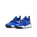 ナイキ バスケットシューズ ジュニア チームハッスルD11 GS DV8996-400 NIKE