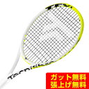 テクニファイバー TECNIFIBRE 硬式テニスラケット TF-X1 v2 300 14TFX3004