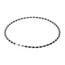 【全品対象最大10%OFFクーポン!7/13 10:00~7/15 23:59】エクストリーム EXTREME チタンネックレス ネックレス クリスタルタッチ 0223TG909252