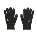 ミズノ 野球 トレーニング手袋 ミズノプロブレスサーモ手袋 12JYBA0108 MIZUNO