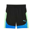 プーマ プーマ サッカーウェア ハーフパンツ メンズ INDIVIDUAL ファイナル ショーツ 659875-02
