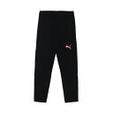 プーマ サッカーウェア ピステパンツ メンズ サッカー INDIVIDUAL FTBL プロ ニットパンツ 659752-03 PUMA