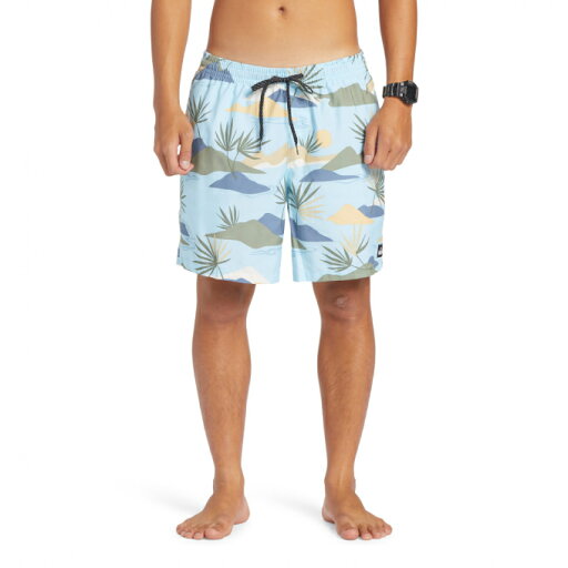 クイックシルバー QUIKSILVER サーフパンツ メンズ EVERYDAY MIX VOLLEY 17NB ボードショーツ ウォークショーツ EQYJV04022 クイックシルバー QUIKSILVER サーフパンツ メンズ EVERYDAY MIX VOLLEY 17NB ボードショーツ ウォークショーツ EQYJV04022