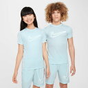 【全品対象最大10%OFFクーポン!7/13 10:00〜7/15 23:59】ナイキ サッカーウェア 半袖シャツ ジュニア FA DF アカデミーGX 半袖ト...